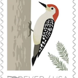 Birds in Winter Forever Stamps