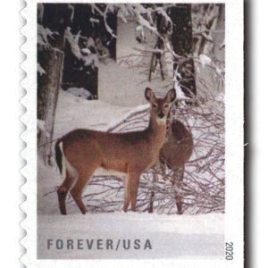 Winter Scenes Forever Stamps