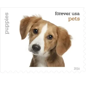 Pets Celebrate Animals Forever Stamps